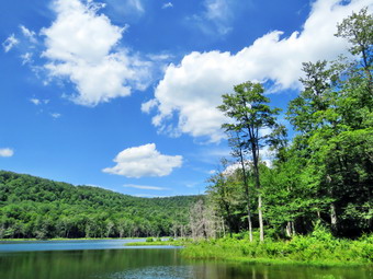 picture taken during a hike