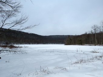 picture taken during a hike