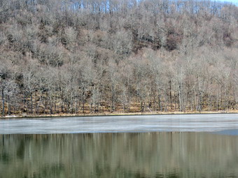 picture taken during a hike