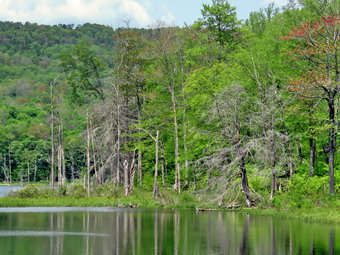 picture taken during a hike