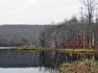 picture taken during a hike