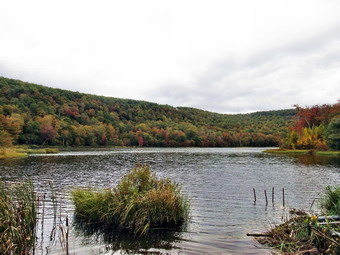 picture taken during a hike