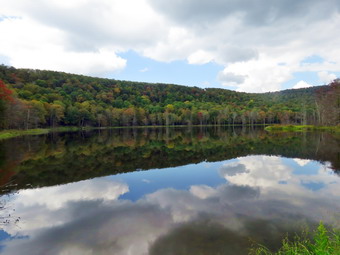 picture taken during a hike