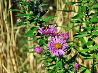 picture taken during a hike