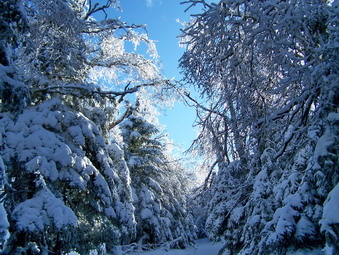 picture taken during a hike