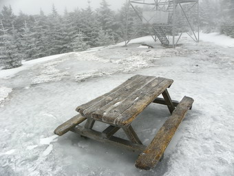 picture taken during a hike