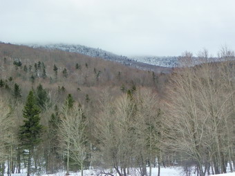 picture taken during a hike