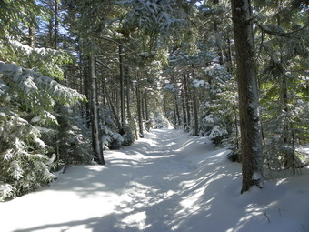 picture taken during a hike