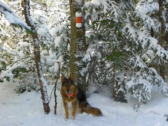 picture taken during a hike