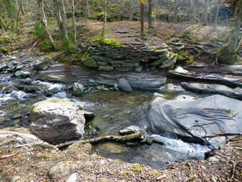 picture taken during a hike