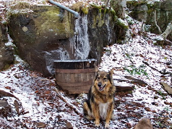 picture taken during a hike