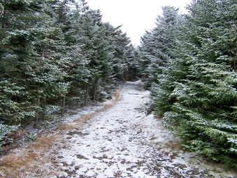 picture taken during a hike