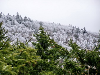 picture taken during a hike