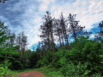 picture taken during a hike