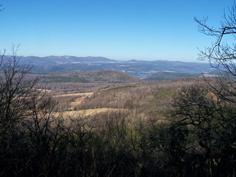 picture taken during a hike