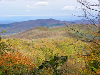 picture taken during a hike