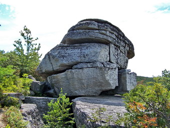 picture taken during a hike