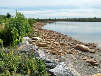 picture taken during a hike