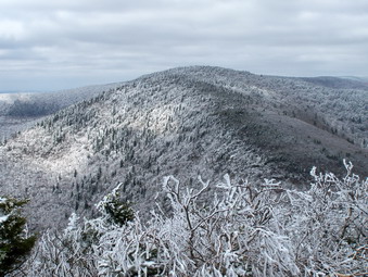 picture taken during a hike