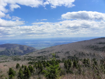 picture taken during a hike