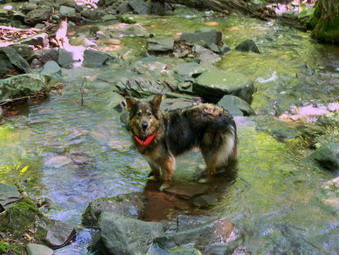 picture taken during a hike