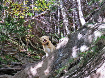 picture taken during a hike