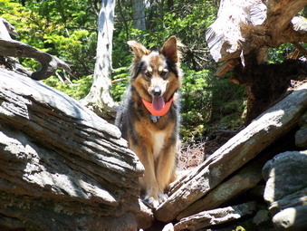 picture taken during a hike