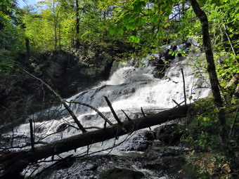 picture taken during a hike