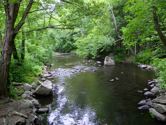 picture taken during a hike