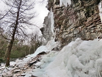 picture taken during a hike