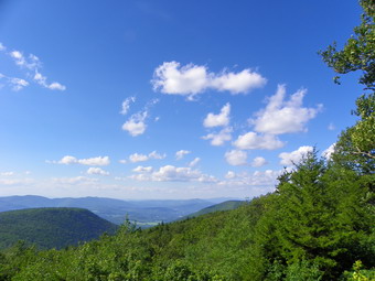 picture taken during a hike