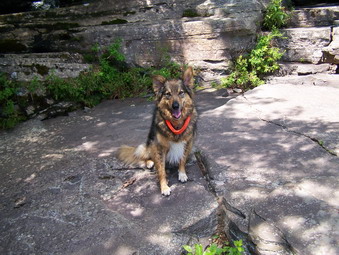 picture taken during a hike