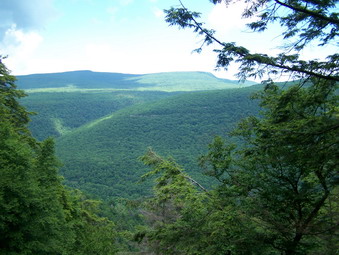 picture taken during a hike