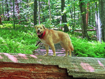 picture taken during a hike