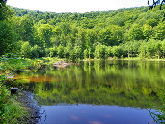 picture taken during a hike