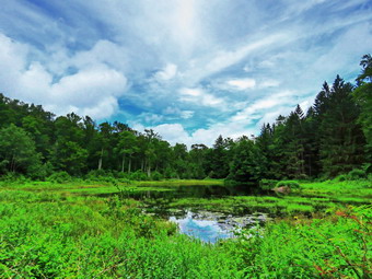 picture taken during a hike