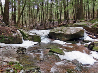 picture taken during a hike