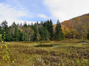 picture taken during a hike