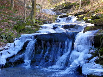 picture taken during a hike