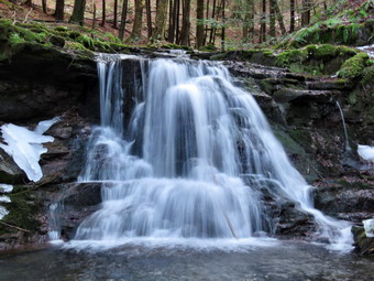 picture taken during a hike