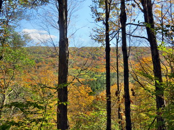 picture taken during a hike