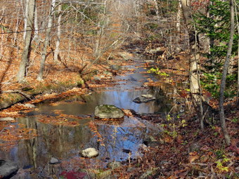 picture taken during a hike