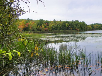 picture taken during a hike