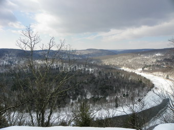 picture taken during a hike