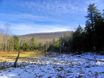 picture taken during a hike