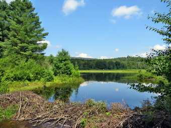 picture taken during a hike