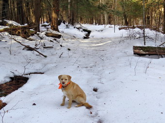 picture taken during a hike