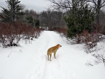 picture taken during a hike