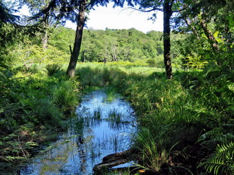 picture taken during a hike