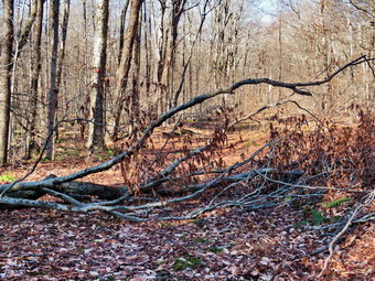 picture taken during a hike